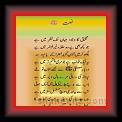 Naat Murtza ashir 01 * 22.03.2008 * 336 x 529 * (31KB)